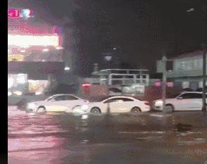 昨夜广州暴雨,中大的一条蛇火了!