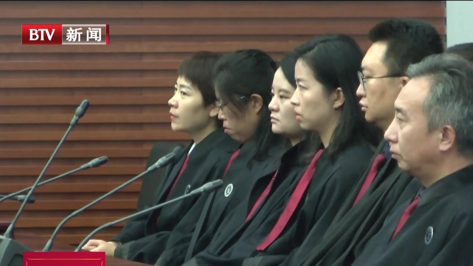 海淀法院对恶势力团伙张艳超等十七人作出一审判决