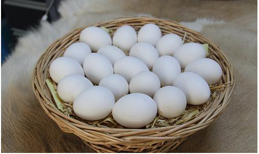 遭遇本命年鸡蛋价格大幅下行 附2/6全国各地鸡蛋最新价格