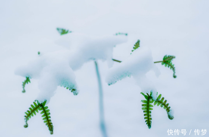 java c++ python 三种语言优缺点分析(新手篇)