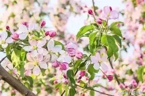 张一山倒下了!年仅25岁,宋丹丹哭的拉不起来!