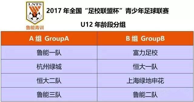 此項賽事由魯能,恒大,綠城,富力四家足球學校於2015年共同發起創辦