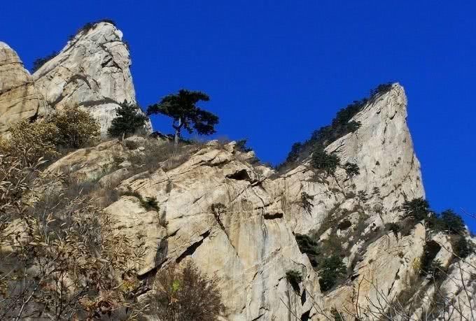 北京的冬天,这些公园最适合带着女朋友去!