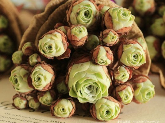 t01e81d924af9153f7d.jpg?size=538x400