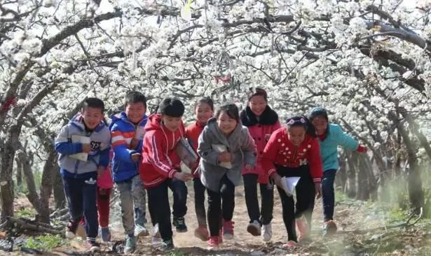 抢鲜 | 高密南山梨花节!晏子故里邀您共享梨