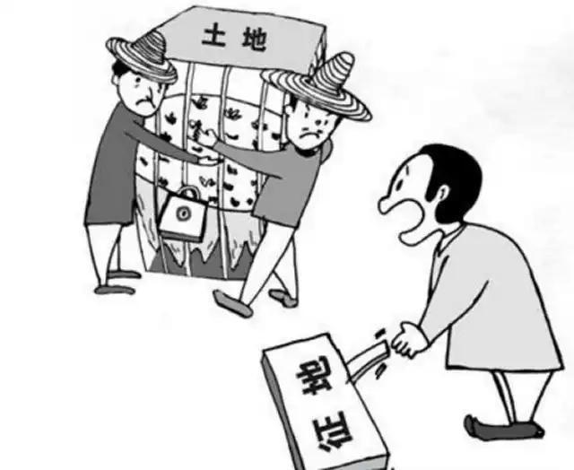 农村征地有补偿,不仅土地有果树也按株给补贴