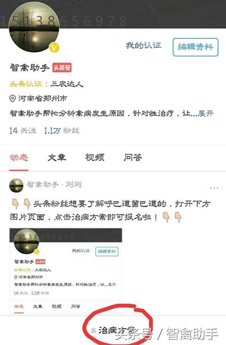 冬季鸭苗病毒性肝炎怎么防治?鸭子头肿胀是什