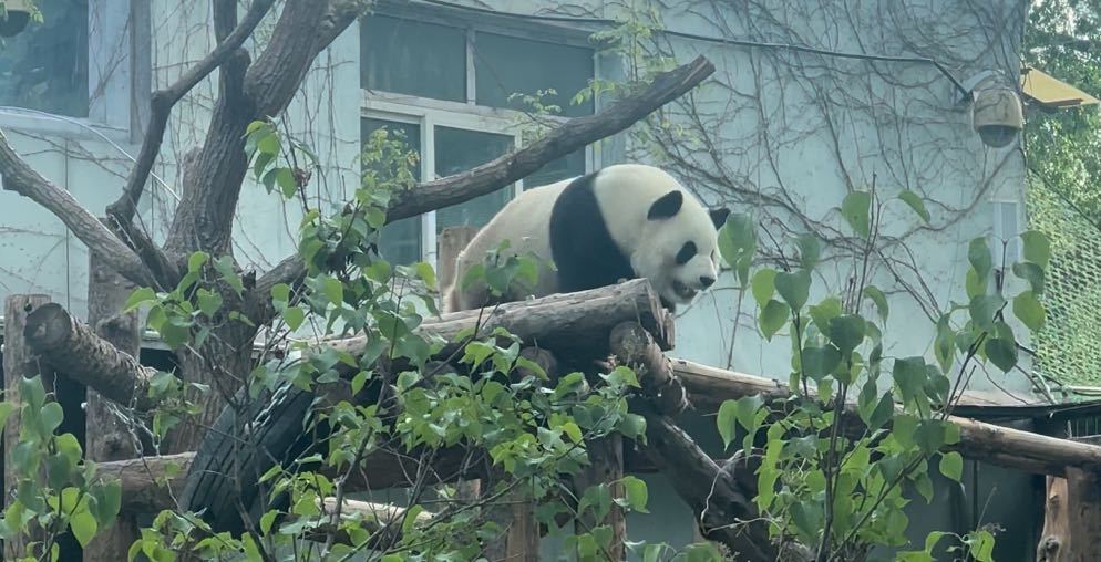 为见萌兰一面你花的时间有多久_北京时间
