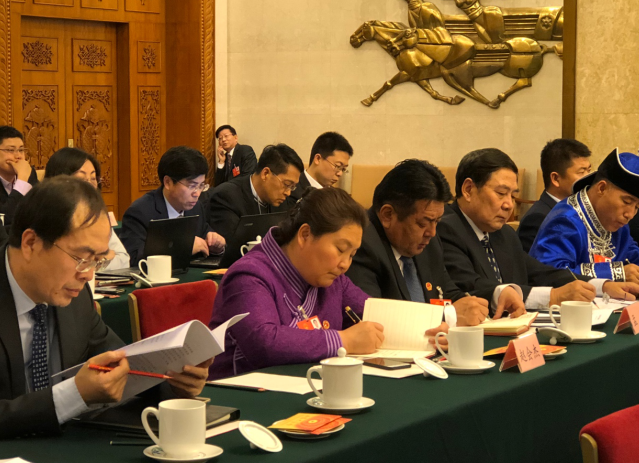 内蒙古代表团审议政府工作报告 乡村振兴等内