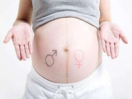 孕期第15周胎儿发育情况,宝宝可以听到你的声