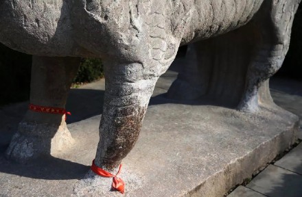 明皇陵石麒麟被磨成"小细腿" 园方:系1982年前所刮