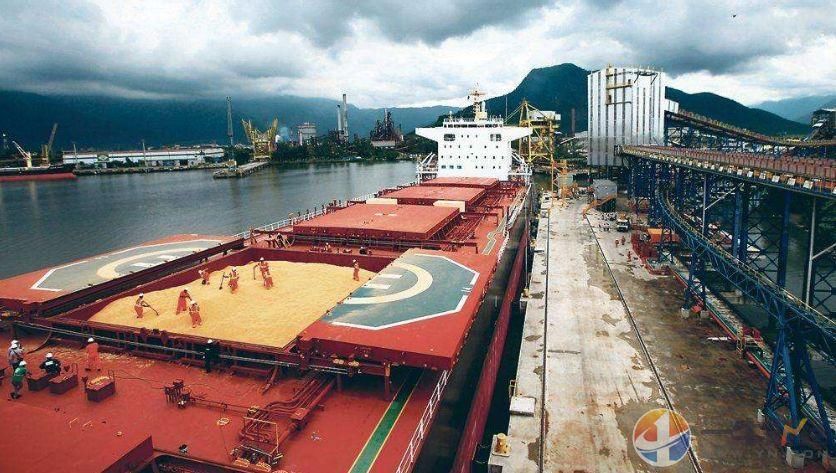 飞马峰号靠岸!海漂36天,今天,美国大豆终于在