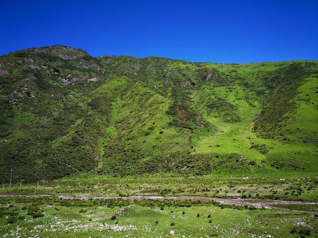 运造化于笔端 王家训定西双石门山水写生