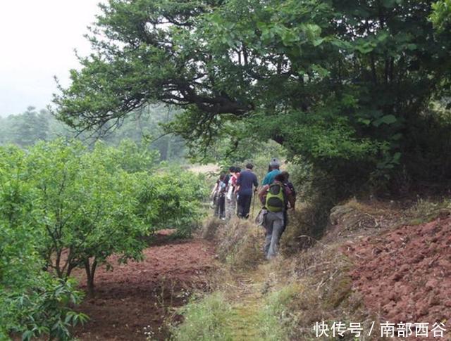 刚出生婴儿被爷爷灌白酒致死,父母不敢表态,网