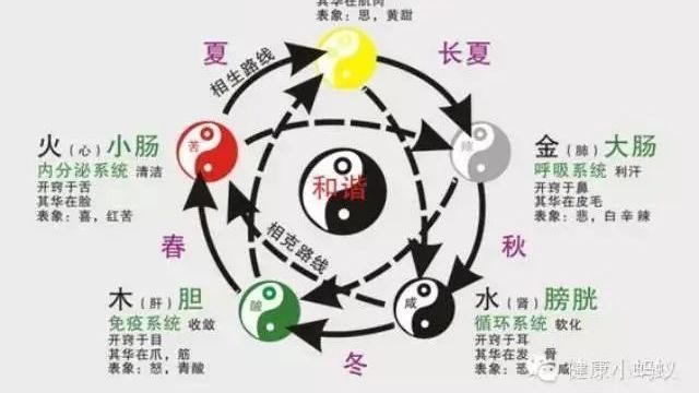 四季变化与五脏养生有什么关系？