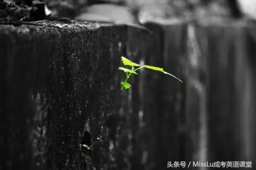 120句超适合放朋友圈的英语句子,瞬间让你高大