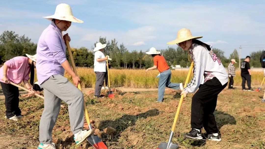 丰收啦!大中小学子共享耕读教育成果 丰收啦!大中小学子共享耕读教育成果