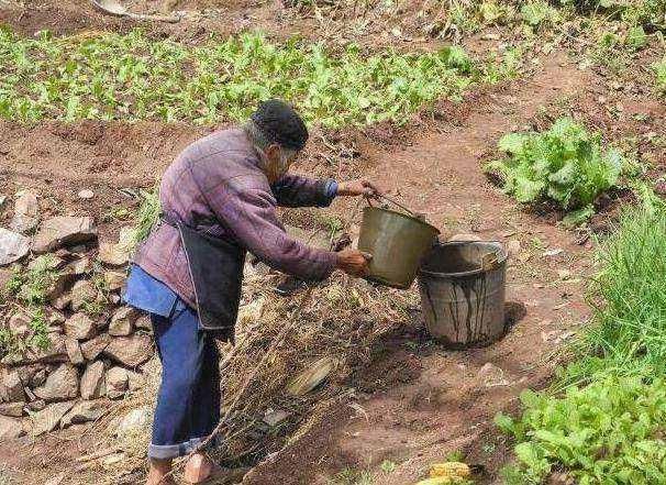 农村人越来越少,以后谁来种地