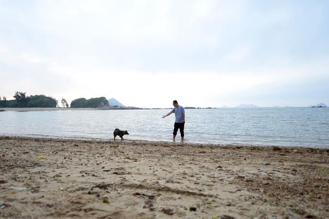 广州自驾游攻略:夏天,组织公司大部队看海去