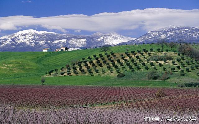 时时彩玩法技巧总结、简单的思路、新手必备宝