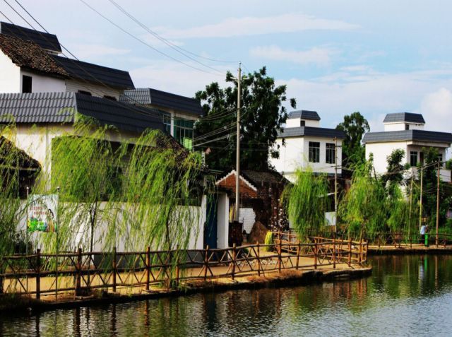 2018年崇左美丽乡村星级村名单出炉!为了它们