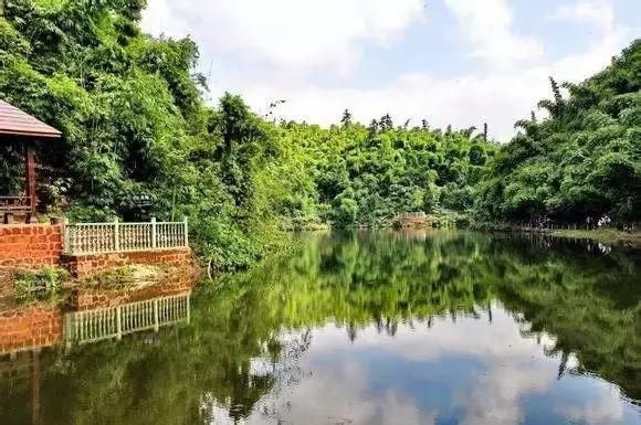 來源:樂山旅遊 沐川竹海,原名川西竹海,位於沐川縣東南方永福鎮.