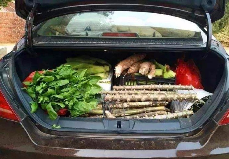 用“只有你想不到的没有他们装不下的”来形容一点都不为过，可谓是充分利用了所有空间。