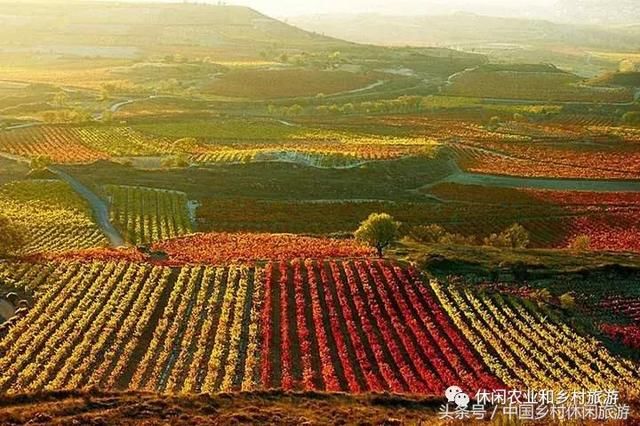 乡村振兴怎么做?这五个方面是重点!