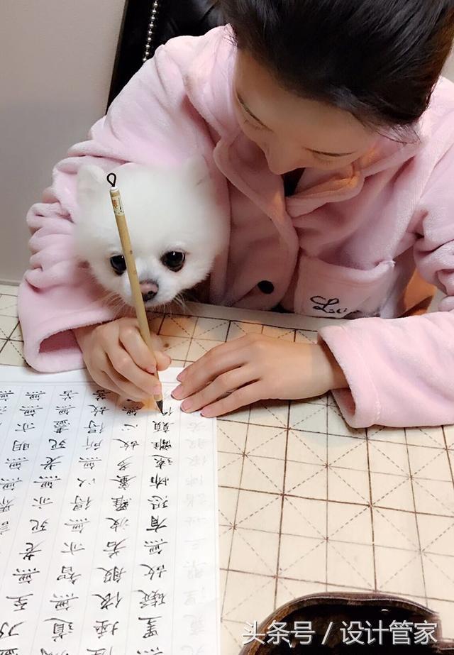 "九球天后"潘晓婷身家过亿拥豪宅别墅 堪称人生大赢家