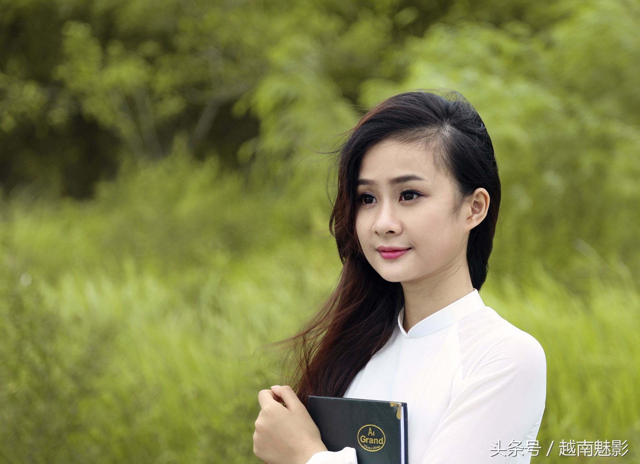 越南女孩的奥黛风情,越式"旗袍"受中国影响深远