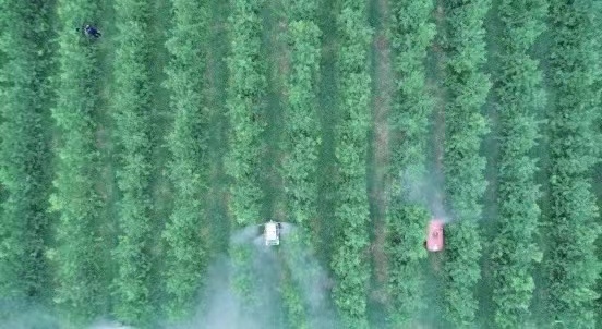 最高奖百万！平谷举办第一届50亩地创业大赛