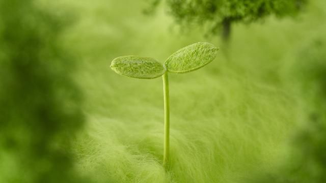 心态好,人缘好,因为懂得宽容;心态好,做事顺,因