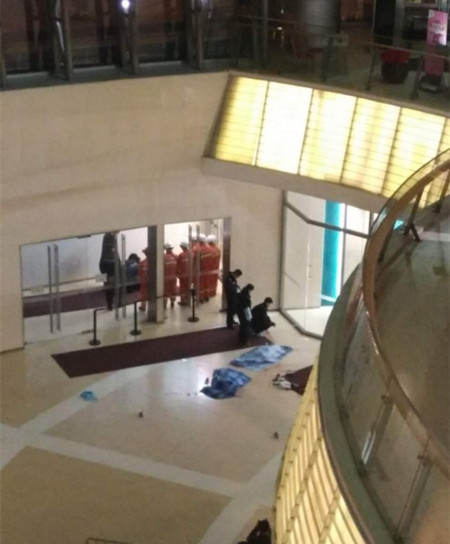 政协委员:天津两坠亡幼童父亲应被追刑责 政协委员:天津两坠亡幼童父亲应被追刑责