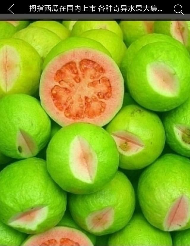 货的新型高档水果,市场价每公斤二百元,亩产五