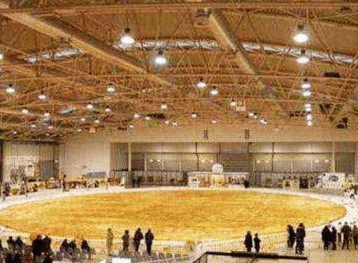 世界最大的食物,披萨像个体育场,冰淇淋比人高