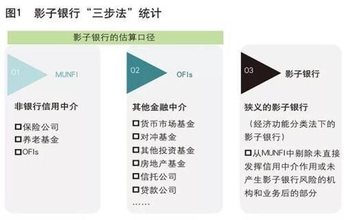 央行调查统计司:影子银行的统计监测与风险评估
