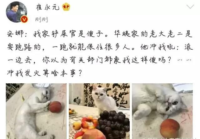 安娜微博回应华谊二王质押股权事件