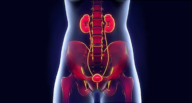 不少男性也会得这类疾病;同时,泌尿道感染会导致膀胱过度活跃的症状