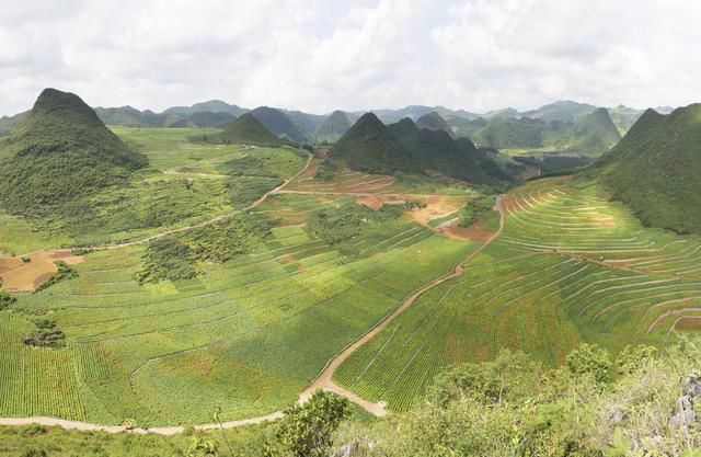 云南文山"六子登科"让石漠变绿洲