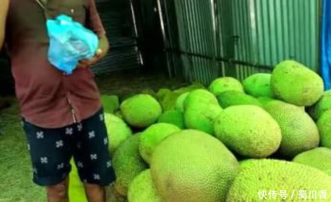 为啥印度菠萝蜜这么便宜,一个只要30元,切开以