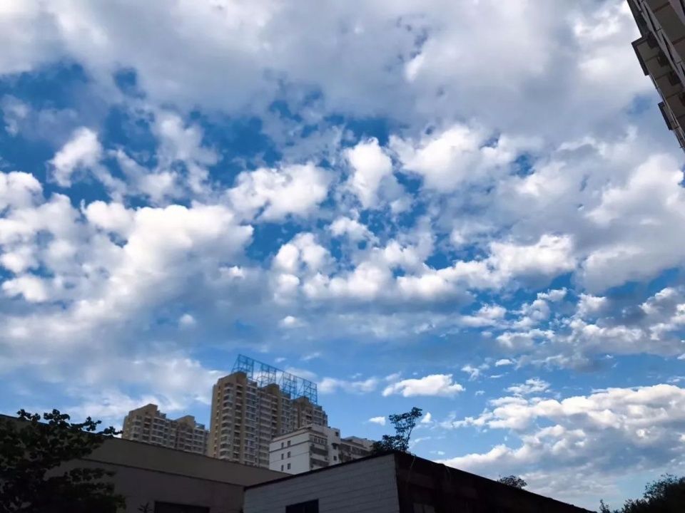 紧急调整!南阳、濮阳、平顶山限行政策更严了