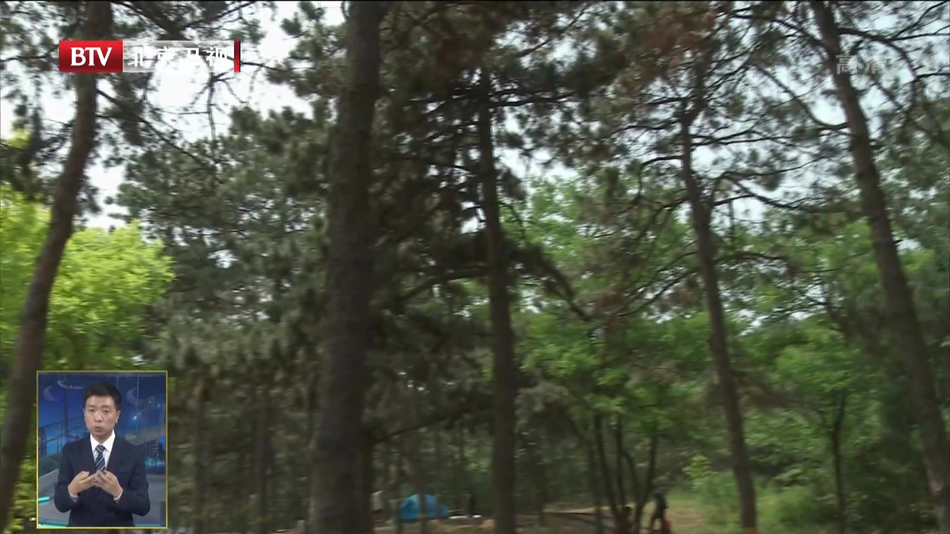 北京已成为世界上生物多样性最丰富都市之一