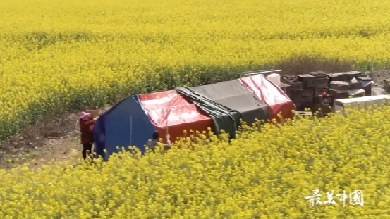 《最美中国》第一季第23期:罗平 《最美中国》第一季第23期:罗平