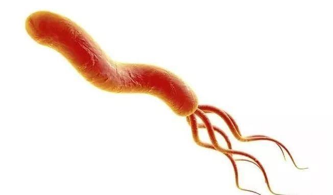 胃炎胃溃疡胃糜烂,这些胃病是怎么回事?你了解