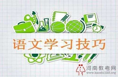 郑州、洛阳初中语文成绩怎么提升?五大语文学