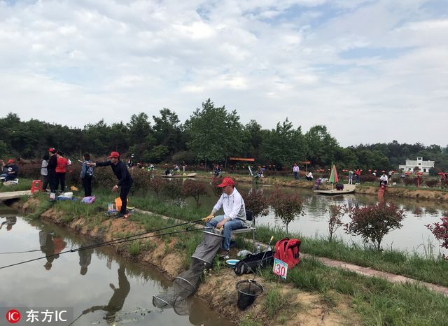 安徽六安农家乐办钓鱼赛,冠军3小时钓130条,钓