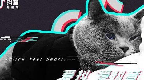 抖音小宁哥到底是谁 抖音小宁哥介绍