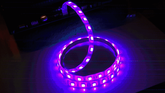 t01f21166c19d6ba542.gif?size=560x315