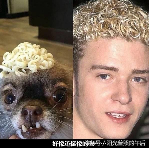 有时候高手不一定来自民间，还有可能来自洗手间