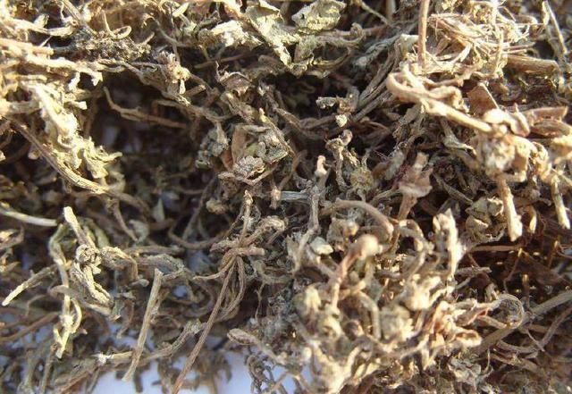 治鼻炎用它,效果比苍耳子强十倍,3天见效,成本